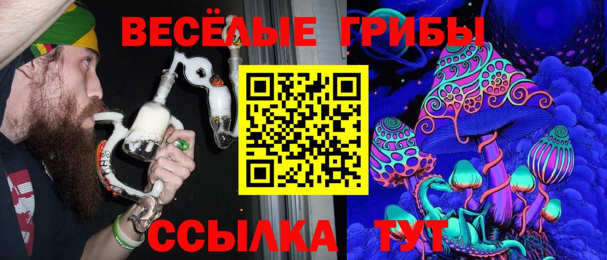 Чапаевск  Псилоцибиновые грибы ЛСД  Вход с VPN  Псилоцибиновые грибы ЛСД 